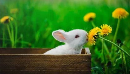 b体育网站注册-英格兰女足队员发挥卓越，连续六场不败，英格兰女足超级联赛