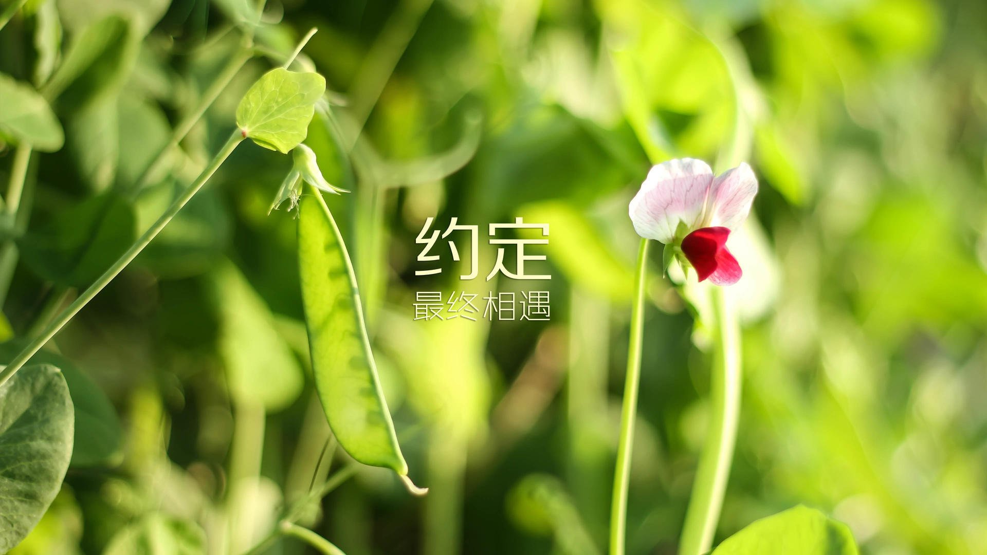 《比赛回顾：年度最佳战役盘点》，最佳战将是谁