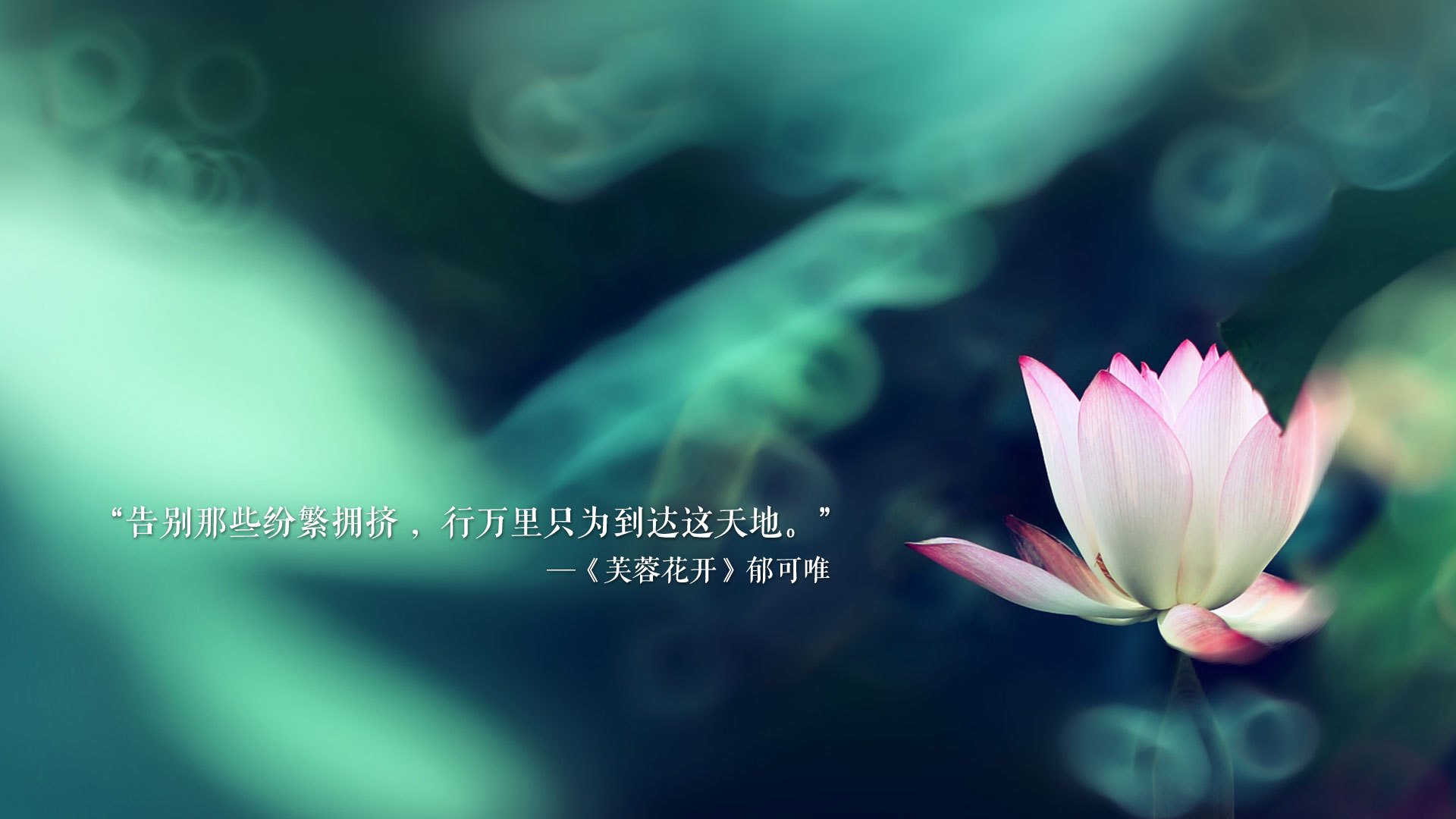 【训练技巧】丁俊晖：数十年的康复与精细训练经验分享，丁俊晖介绍