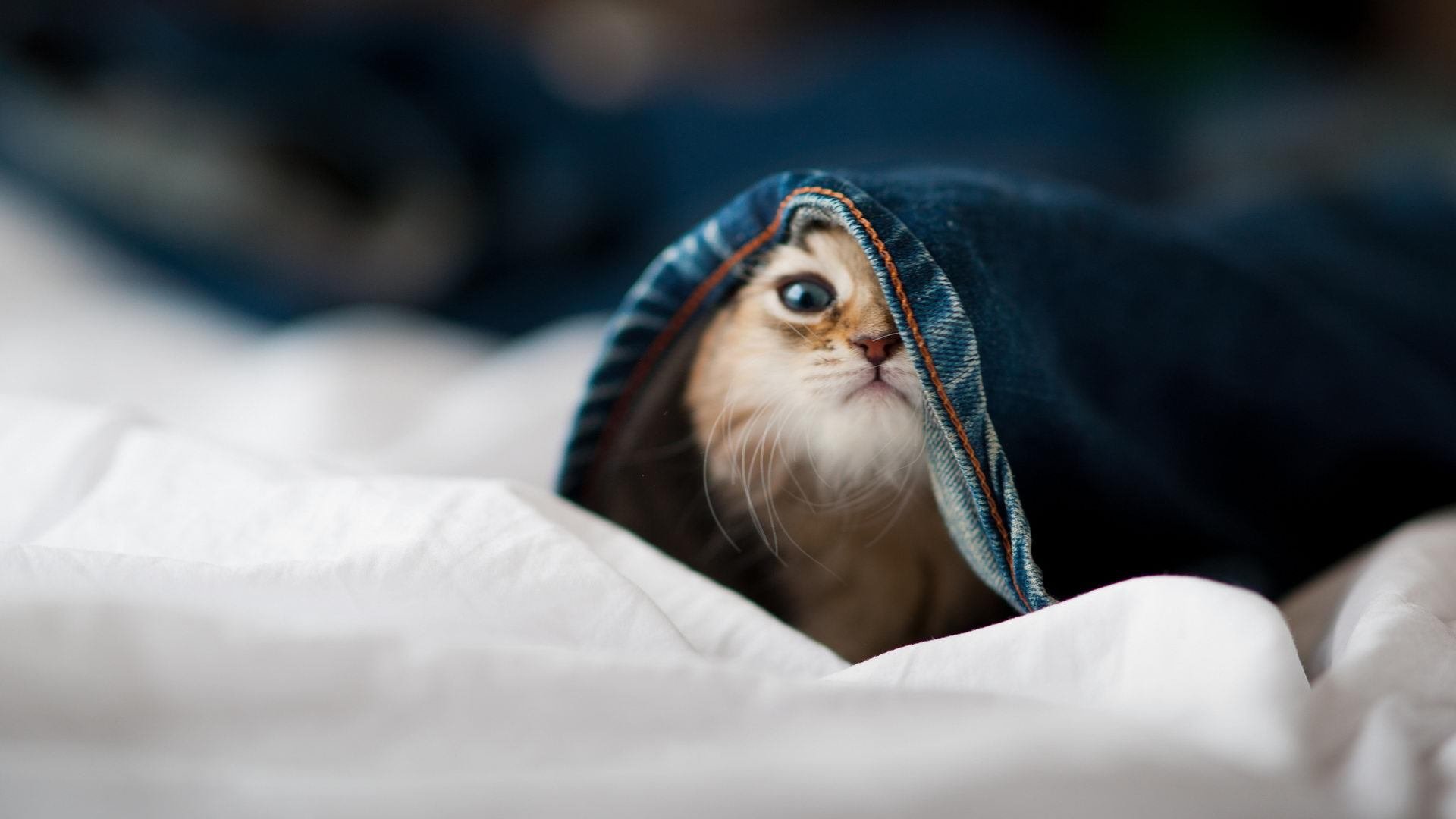 全民健身日系列活动中,篮球成为最受欢迎项目之一,全民健身的活动