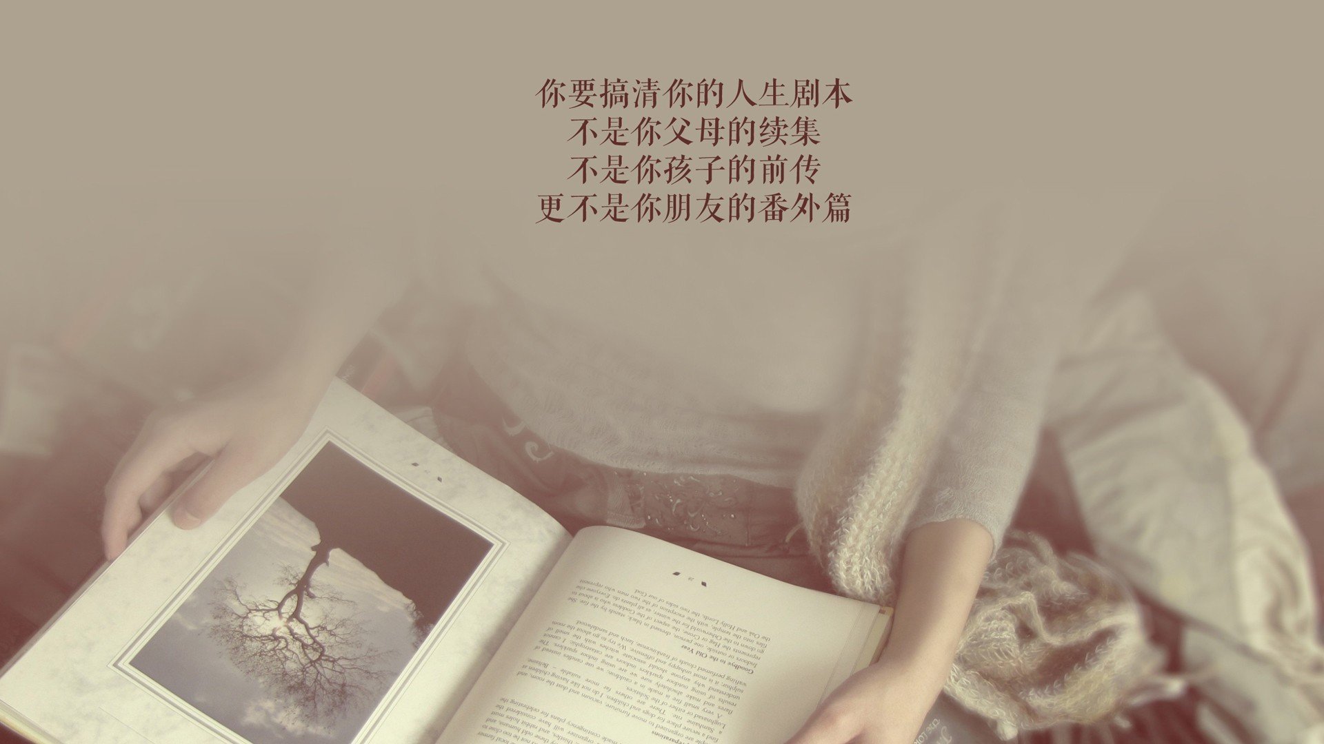 波兰在对保加利亚比赛中取得胜利，走向晋级之路，波兰对加拿大