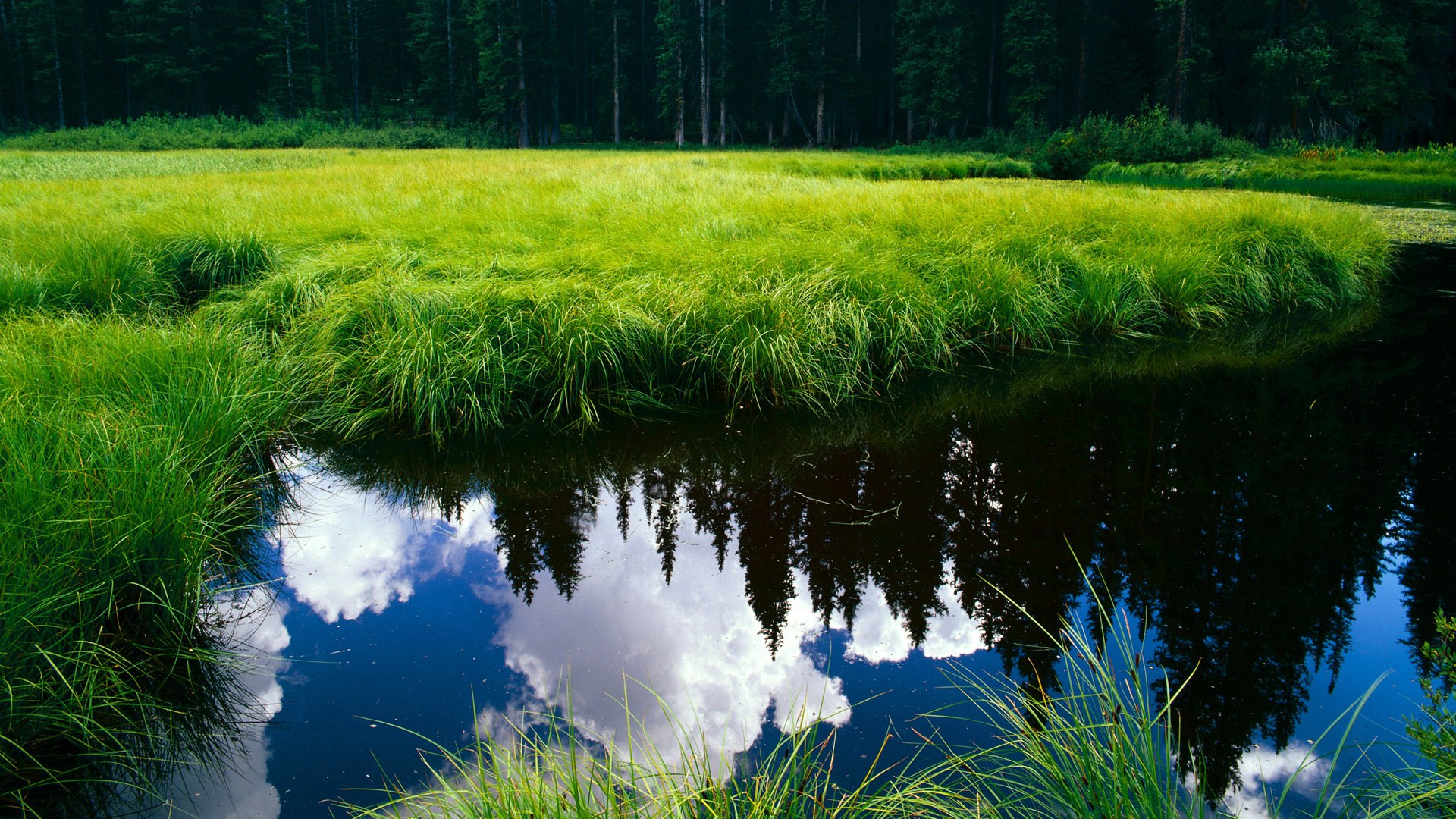 中前场抢断位置决定进攻质量,前场抢断球回14秒嘛