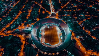 B体育在线登录入口-埃及队未来规划：全方位打造高水平乒乓队伍，埃及乒乓球男团名单