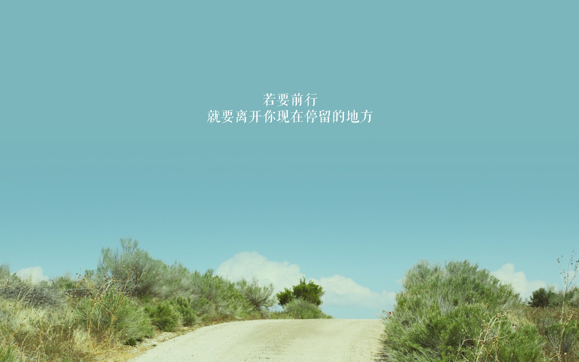 bsport-女子蝶泳选手冲击决赛席位，女子蝶泳决赛视频