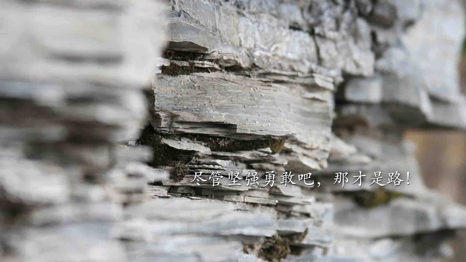 b体育入口-青少年马术公开赛强调马匹人文关怀教育，青少年马术障碍赛