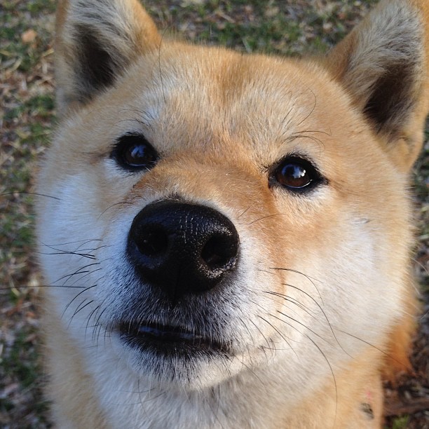 新闻中心通报教练员年度培训计划执行情况,教练员业务培训总结