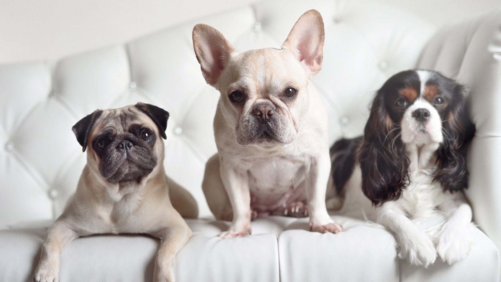 B体育中国内陆官方网站-英超激情爆发：每场对决都精彩绝伦！，英超精彩视频