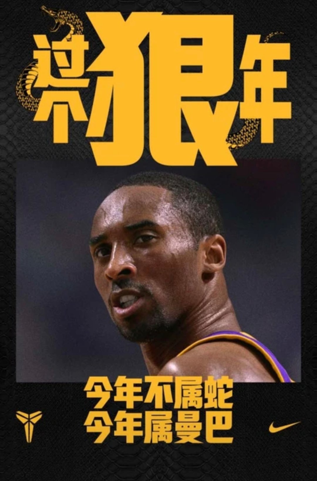 B体育：想念那些年：怀念曾经辉煌的金牌时刻的简单介绍
